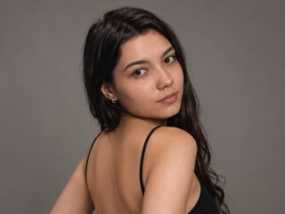 chat room free SophieShark